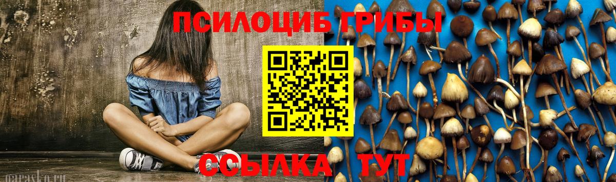 Галлюциногенные грибы Psilocybine cubensis  Псилоцибиновые грибы Magic Shrooms  Вход с VPN  Борисоглебск 